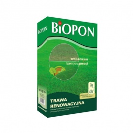 TRAWA RENOWACYJNA / 1KG /