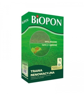 TRAWA RENOWACYJNA / 1KG /