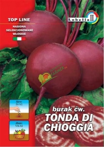 BURAK TONDA DI CHIOGGIA / 5G