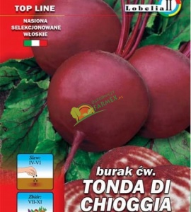 BURAK TONDA DI CHIOGGIA / 5G