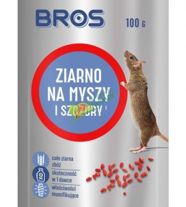 MYSZY I SZCZURY ZIARNO / 100G