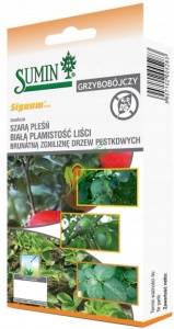 SIGNUM 33 WG / 10G / promocja