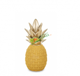 ANANAS ZŁOTO ŻÓŁTY