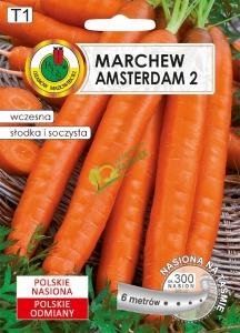 NA TAŚMIE MARCHEW AMSTERDAM 2 6M