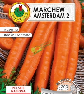 NA TAŚMIE MARCHEW AMSTERDAM 2 6M