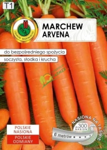 NA TAŚMIE MARCHEW ARVENA / 6M