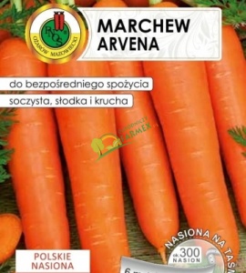 NA TAŚMIE MARCHEW ARVENA / 6M