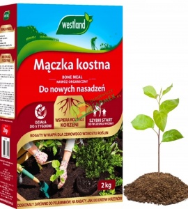 MĄCZKA KOSTNBA DO NOWYCH NASADZEŃ / 2KG