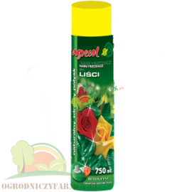 NABŁYSZCZACZ DO LIŚCI / 750ML + 25% promocja