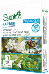 KAPTAN ZAWIESINOWY 50 WP / 50G ^ PRZECENA