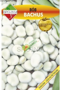 BÓB BACHUS / 50G