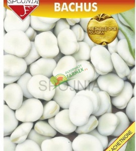 BÓB BACHUS / 50G