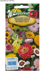 ASTER MIESZANKA NA KWIATY CIĘTE / 1G