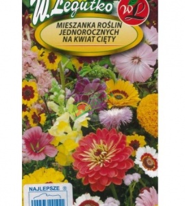 ASTER MIESZANKA NA KWIATY CIĘTE / 1G