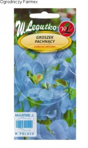 GROSZEK PACHNĄCY / NIEBIESKI / 2G