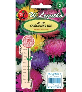 ASTER KING SIZE / MIX / 0,5G