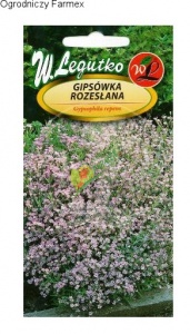 GIPSÓWKA ROZESŁANA / MIX / 0,3G    Bylina