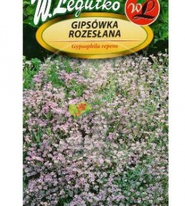 GIPSÓWKA ROZESŁANA / MIX / 0,3G    Bylina