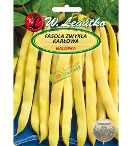 FASOLA ŻÓŁTA / KARŁOWA / GALOPKA / 50G