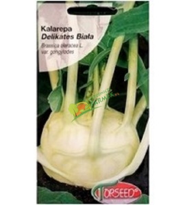 KALAREPA DELIKATES BIAŁA / 2G