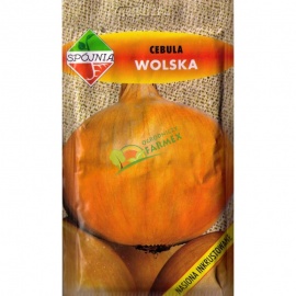 CEBULA WOLSKA / 5G