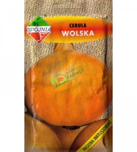 CEBULA WOLSKA / 5G