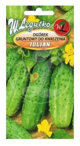 OGÓREK GRUNTOWY / DO KWASZENIA / JULIAN F1 / 5G