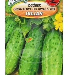 OGÓREK GRUNTOWY / DO KWASZENIA / JULIAN F1 / 5G