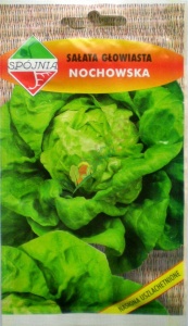 SAŁATA MASŁOWA NOCHOWSKA / 2G