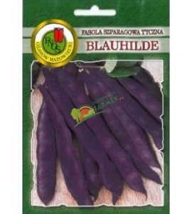 FASOLA FIOLETOWA / TYCZNA / BLAUHILDE / 10G