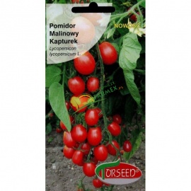 POMIDOR KOKTAILOWY / WYSOKI / CZERWONY / MALINOWY KAPTUREK / CZEREŚNIOWY / 0,1G TYP CHERRY