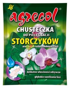 STORCZYKI CHUSTECZKI