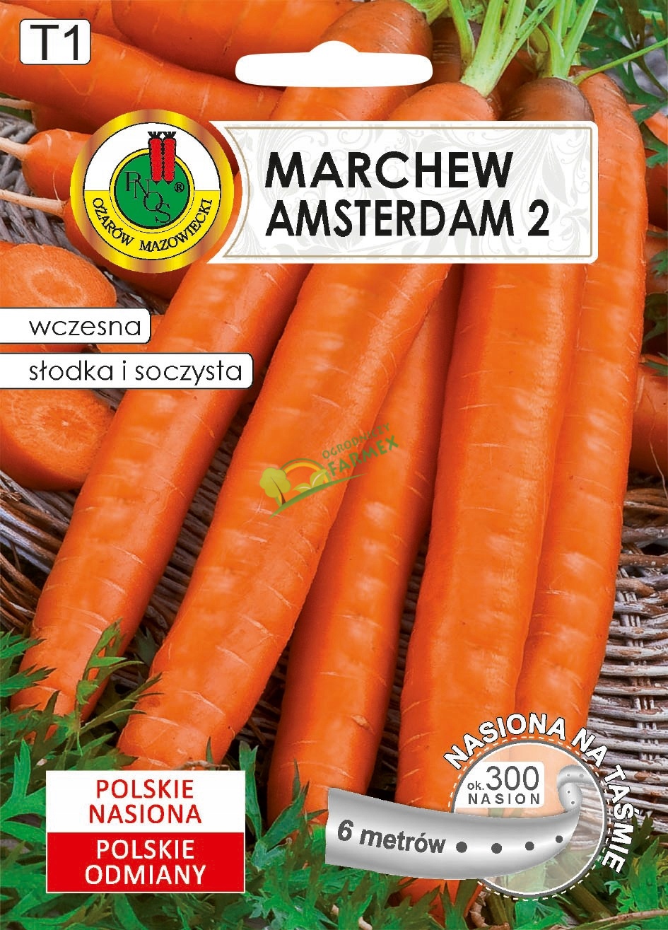 Zdjęcie produktu NA TAŚMIE MARCHEW AMSTERDAM 2 6M