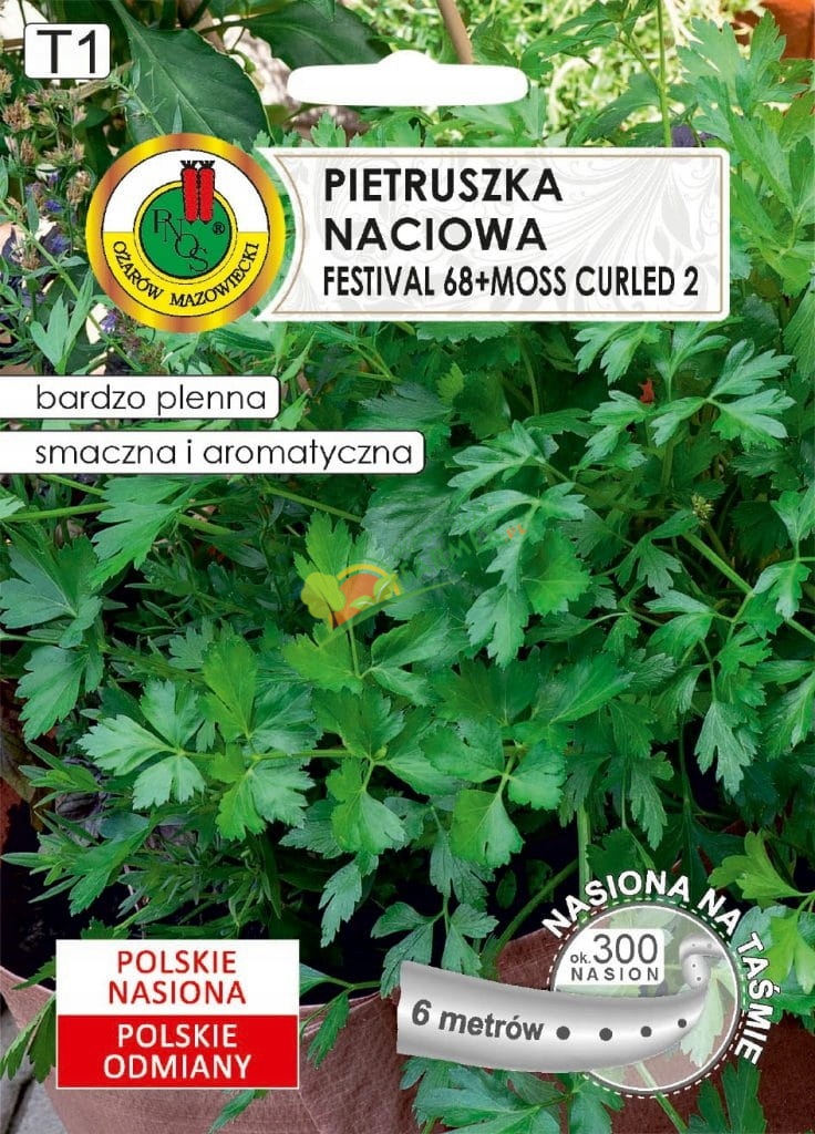 Zdjęcie produktu NA TAŚMIE PIETRUSZKA NACIOWA  FEST + MOSS / 6M