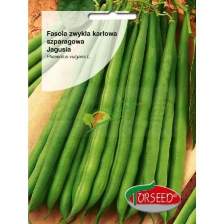 Zdjęcie produktu FASOLA ZIELONA / KARŁOWA / JAGUSIA / 50G BORDOWE NASIONA